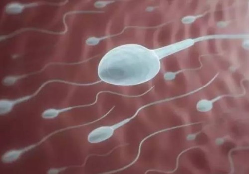 為什么懷孕吃螃蟹會(huì)流產(chǎn)，原因可能是這個(gè)